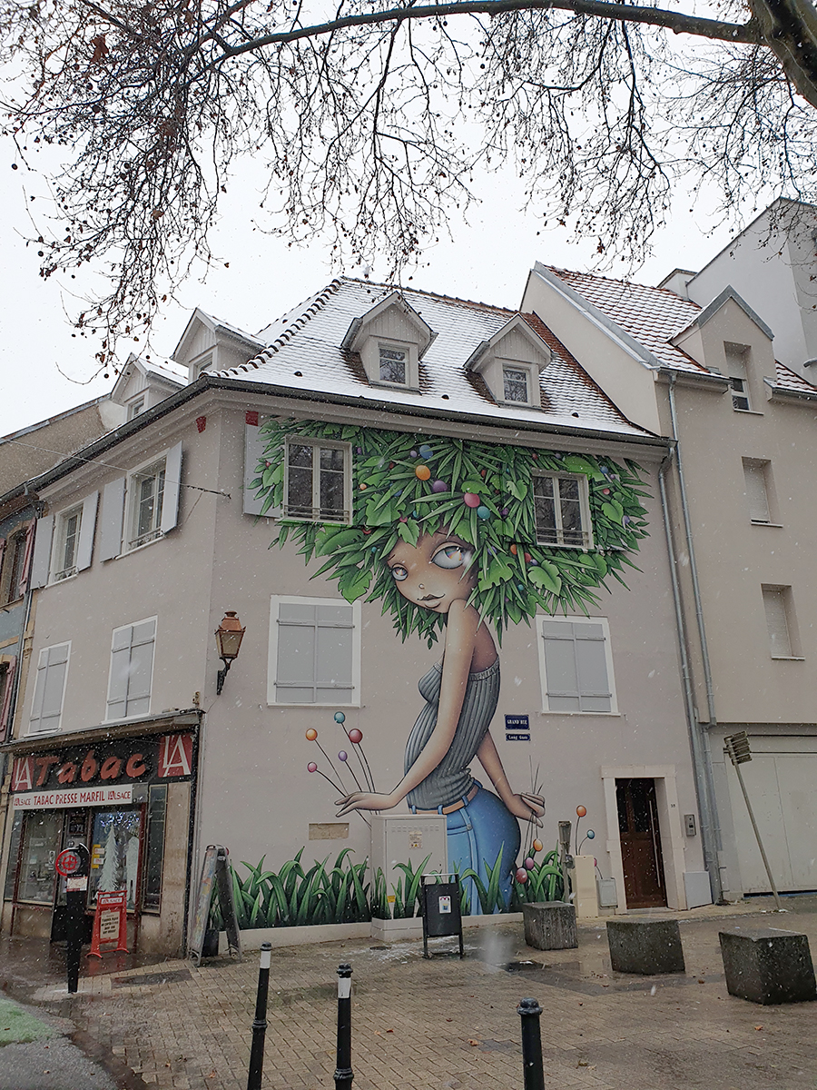 Visiter Mulhouse Centre et découvrez le Street Art